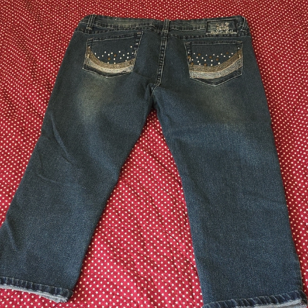 Secretly Evil Blue Cropped Jeans with Stud Details Size 13